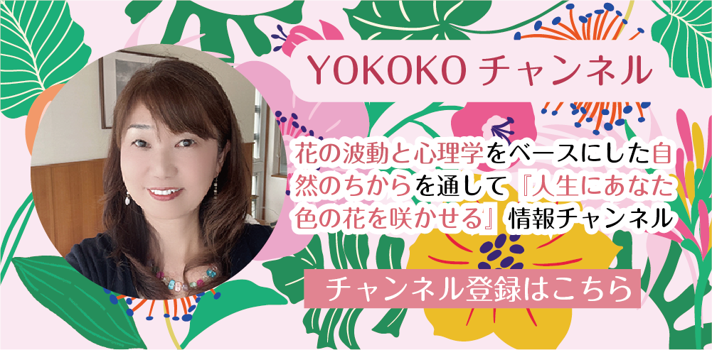 Youtube YOKOKOチャンネル